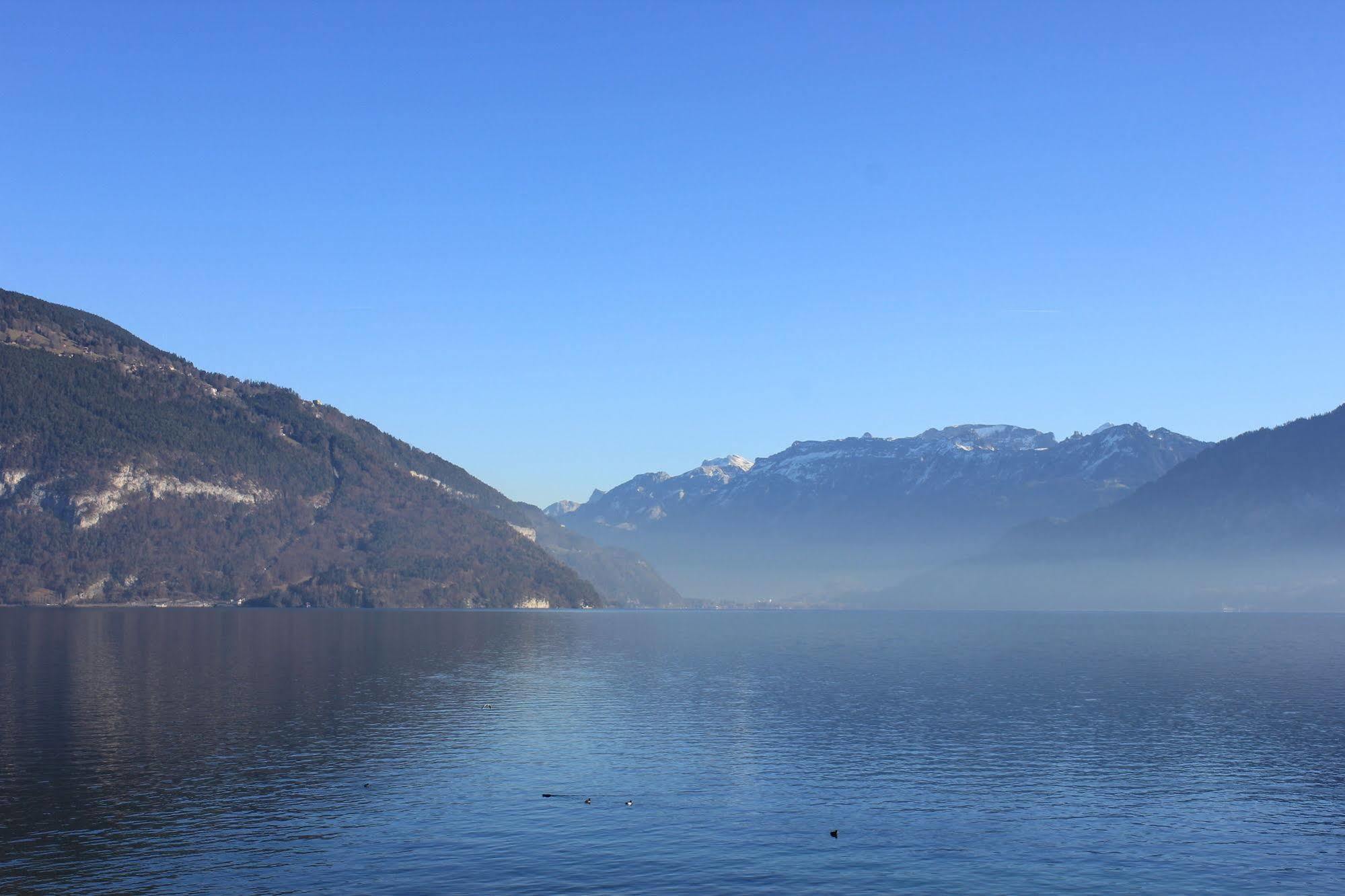 Strandhotel Seeblick Faulensee Eksteriør bilde